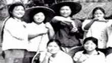 枝柳线(二)